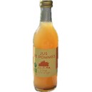 JUS POMMES ANCIENNES 25CL VERGER DU PRE DE SAGNE BIO