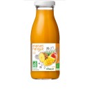 SMOOTHIE ANANAS MANGUE 25CL BIO