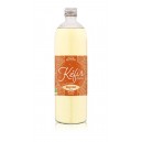 KEFIR GINGEMBRE 75CL BIO