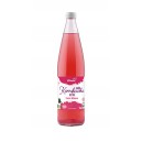 KOMBUCHA DETOX CASSIS HIBISCUS 75CL BIO