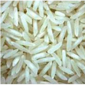RIZ BASMATI 1/2 COMPLET 5KG EQUITABLE BIO