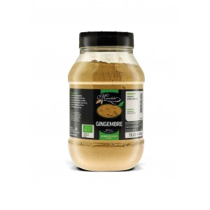 GINGEMBRE MOULU 400G POT PET BIO