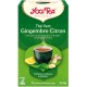 YOGI TEA THE VERT GINGEMBRE CITRON BIO