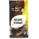 MELANGE ETUDIANT RAISINS CAJOU AMANDES NOIX DU BRESIL NOISETTES 125G BIO