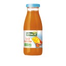 SMOOTHIE DETOX CURCUMA 25CL BIO