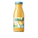 SMOOTHIE DETOX ANANAS GINGEMBRE 25CL BIO