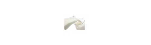 LAIT DE VACHE