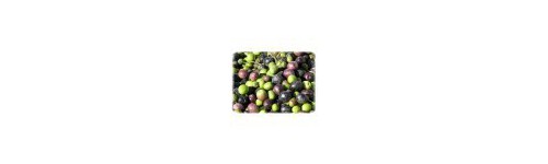OLIVES